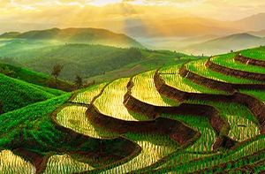 Chiang Mai – Pai (L)