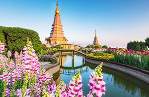 Chiang Mai – Doi Inthanon – Chiang Mai (B)