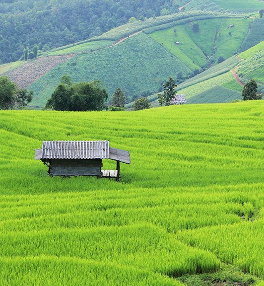 Travel to Chiang Mai Itinerary Trip 5 Days 4 Nights