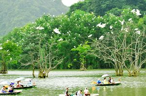 Tam Coc - Thung Nham - Bai Dinh Pagoda - Hanoi