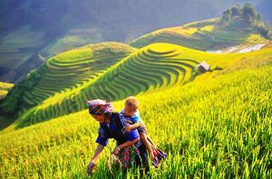 Mu Cang Chai - Hanoi