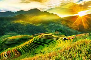 Nghia Lo - Mu Cang Chai