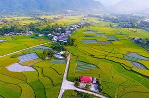 Hanoi - Nghia Lo