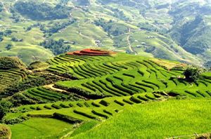 Sapa - Ma Tra - Ta Phin - Bac Ha