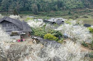 Hanoi - Bac Ha