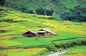 Lao Cai - Sapa - Ma Tra Village