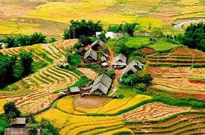 Ta Van Village - Free Time Back To Sapa - Hanoi By Bus