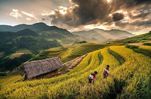 Sapa - Cat Cat Village - Y Linh Ho Village - Lao Chai Village - Ta Van Village