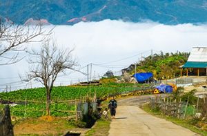 Ta Phun - Sa Xeng - Hau Thao - TL152 - Sapa