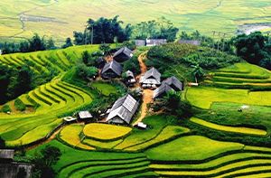 Lao Cai - Sapa - Cat Cat Village - Y Linh Ho Village - Lao Chai Village - Ta Van Village (B; L; D)