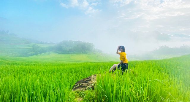 Terraced rice fields in Pu Luong