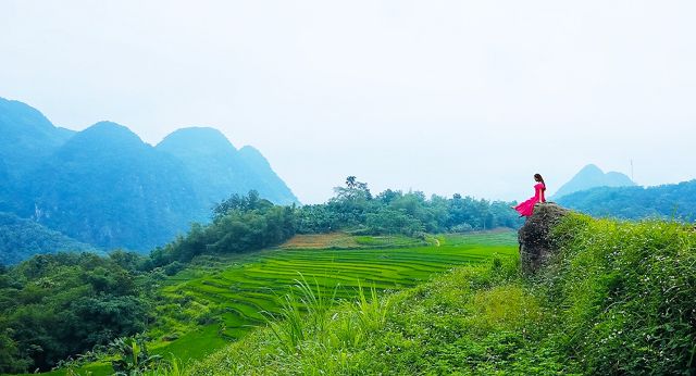 Terraced rice fields in Pu Luong