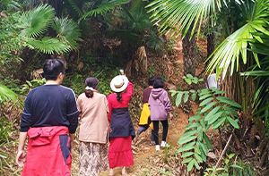 Uoi Village (Bản Ươi) – Lan Village (Bản Lặn) | 6,5km Trekking - Hanoi (B ; L)
