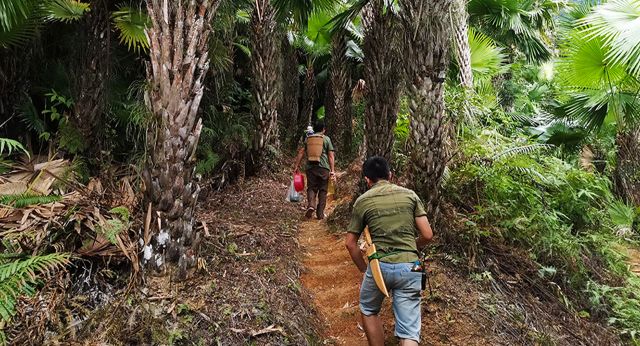Trekking in Pu Luong