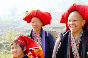 Lao Cai - Sapa - Cat Cat Village - Y Linh Ho Village - Lao Chai Village - Ta Van Village - Sapa (B; L)