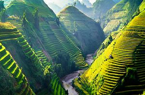 Halong - Hanoi - Sapa By Night Train (B; L) (160km – 4h00)
