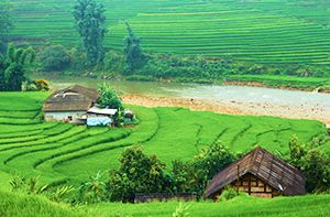 Sapa - Hanoi By Bus (B)