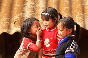Lao Cai - Sapa - Cat Cat Village - Y Linh Ho Village - Lao Chai Village - Ta Van Village - Sapa (B; L)