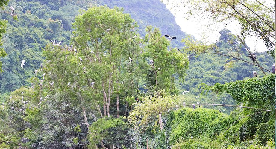 Halong - Ninh Binh - Tam Coc (B; L) (190km – 4h30)