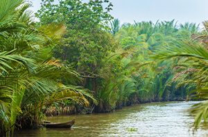 Ben Tre - HCM City (B; L) (110 Km – 2h30)