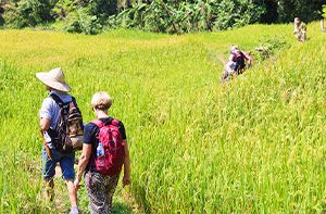 Mai Chau - Na Phon - Nà Piềng - Nà Mèo - Xăm Pà - Hanoi (B; L) (140km – 3h30)
