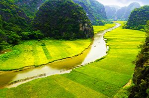 Halong - Ninh Binh - Tam Coc (B; L) (190km – 4h30)