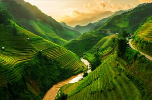 Lao Cai - Sapa - Cat Cat Village - Y Linh Ho Village - Lao Chai Village - Ta Van Village - Sapa (B; L)