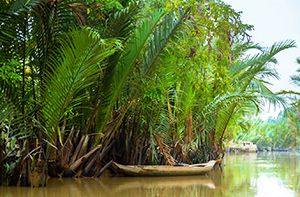 Ho Chi Minh City - Ben Tre (Mekong) - HCM City (B; L) (110 Km – 2h30)