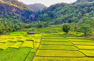 Hanoi - Mai Chau (B; L; D)