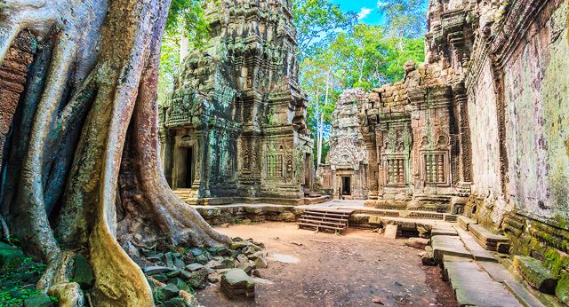 Ta Prohm Temple - Siem Reap - Cambodia