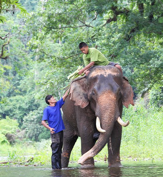 Splendid Thailand and Cambodia Tour 15 Days 14 Nights