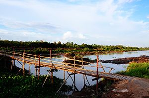 Ho Chi Minh City - Ben Tre (B; L; D) (110 Km – 2h30)