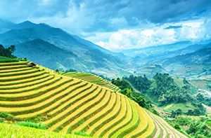 Lao Cai - Sapa - Cat Cat Village (B; L)