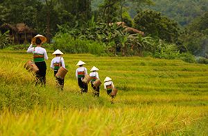 Mai Chau - Pu Luong (B; L; D)