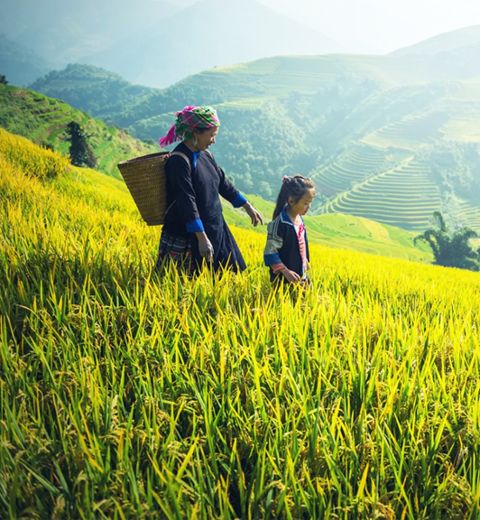 Vietnam and Cambodia Highlights Itinerary 14 Days 13 Nights