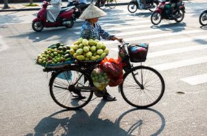 Ta Van Village - Free Time Back To Sapa - Hanoi By Bus (B)