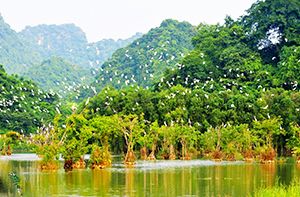 Tam Coc – Thung Nham - Mai Chau (B ; L ; D) (130 Km – 3h00)