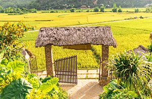 Mai Chau – Hanoi (B ; L) (150 Km – 3h30)