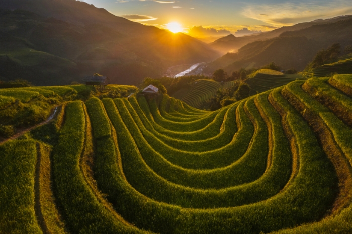 Places to see in Vietnam - terraced rice fields in Mu Cang Chai