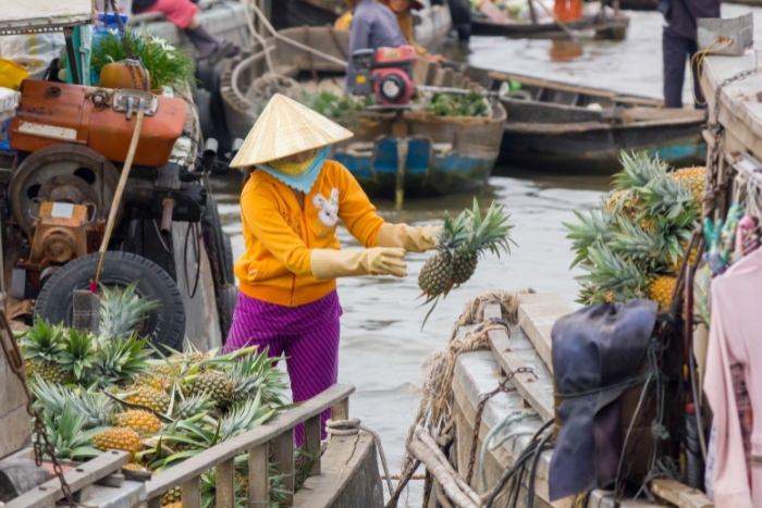 Immersion in the Mekong Delta