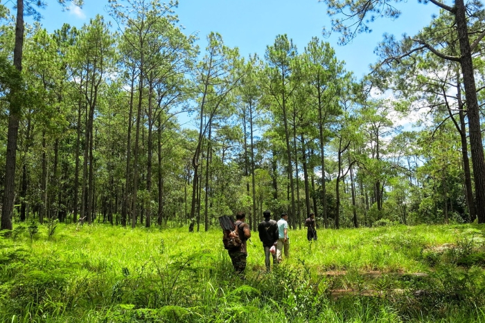 The Cambodia itinerary 10 days continues with a climb to Kirirom National Park