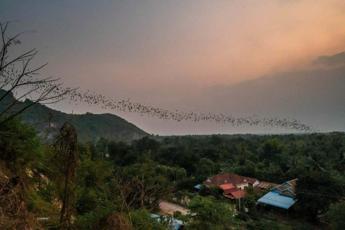 Visiting bat caves in Cambodia itinerary 15 days 