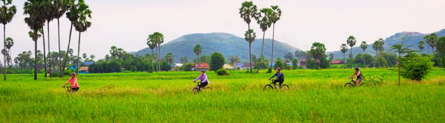 2-day agricultural tour in Cambodia