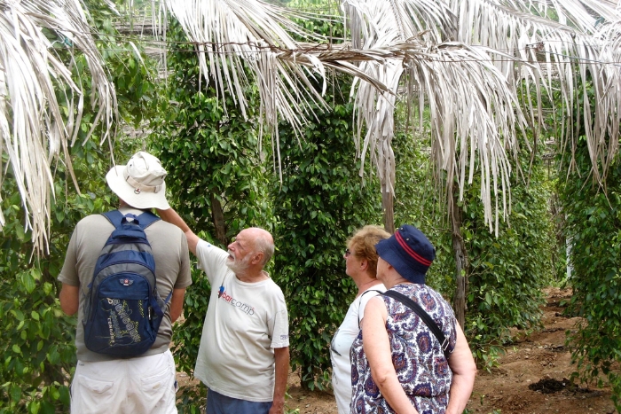 Visit Kampot pepper plantation in Cambodia 3 weeks itinerary