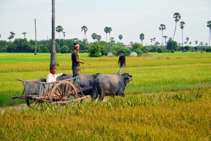 Kampong Chhnang in my 1 week tour in Cambodia