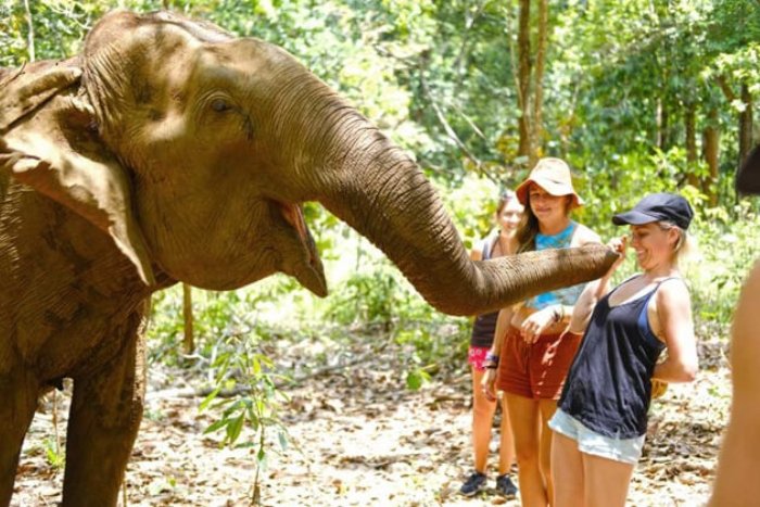 Mondulkiri is the perfect place to inspire your children's love for nature