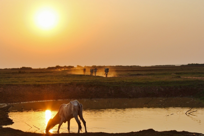 Explore Battambang, Cambodia in February