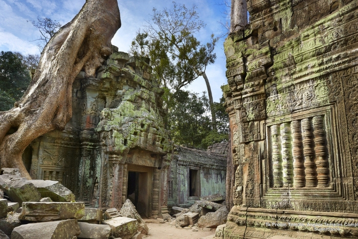 Cambodia itinerary 7 days, Ta Prohm, a temple made famous by the movie "Tomb Raider"