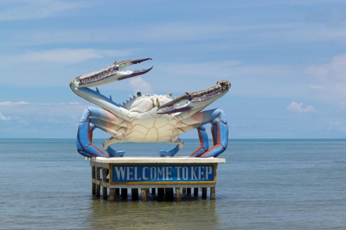 What to do in Kep ? Visit the crab market