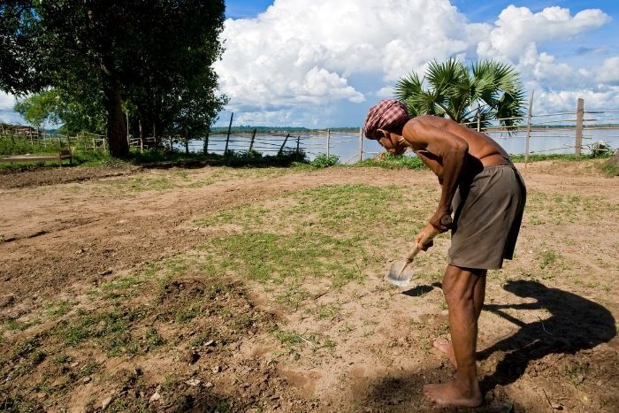 Discover authentic family experiences in Kratie